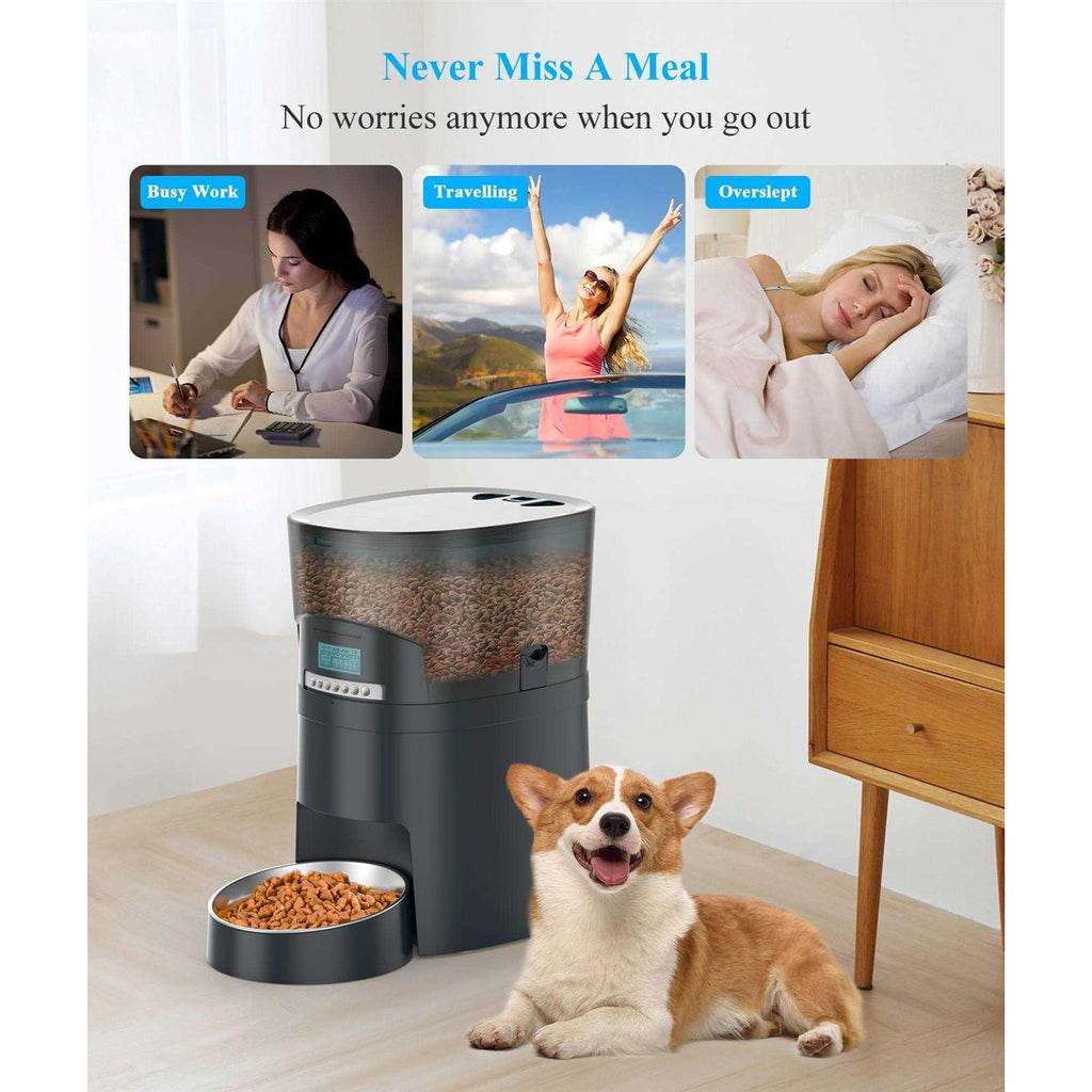4.5l Automatic Pet Feeder D538443