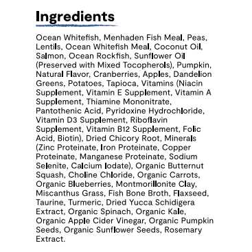 Grain Free RawMix Dry Cat Food E294