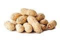 Salted Roasted Peanuts in Shell 25 Pounds Z5424