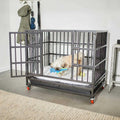Heavy Duty Steel Dog Crate G769256