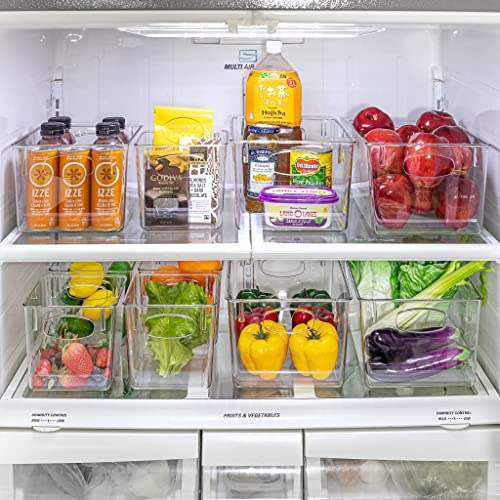 Clear Plastic Storage Bins with Handle, 8 Pack W94940
