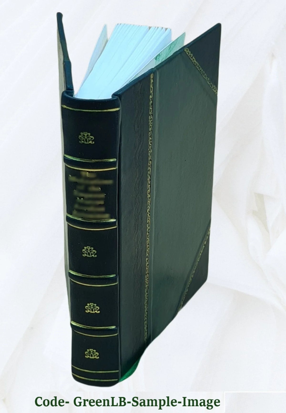 Leather Bound Book F51838
