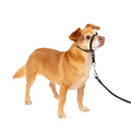Headcollar G522378