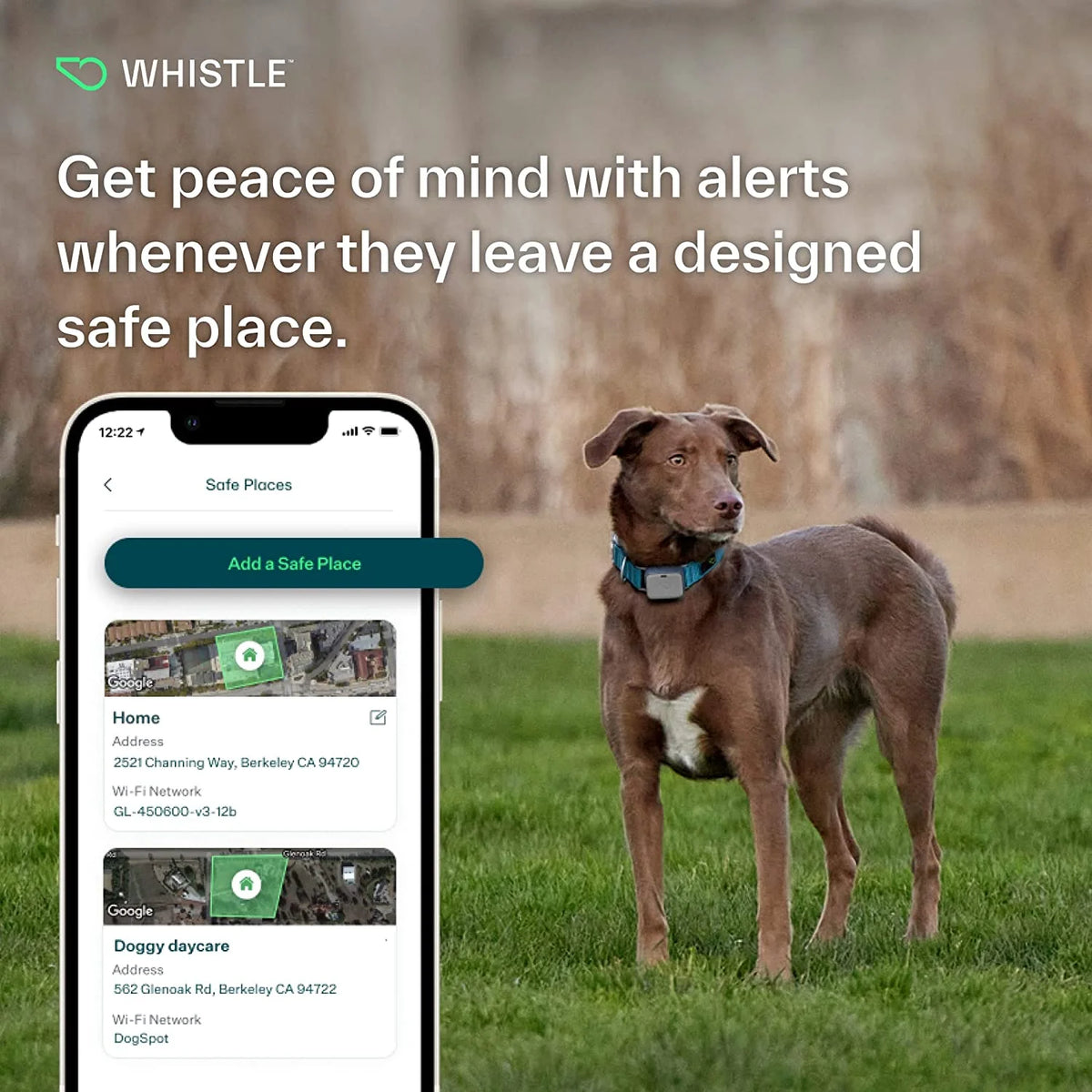 Dog GPS Tracking Device and Pet Health Monitoring System Grey X973345