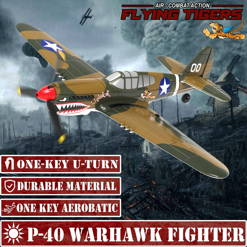 4 Channel Remote Control Airplane Ready to Fly P-40 Warhawk RC Airplane W894036