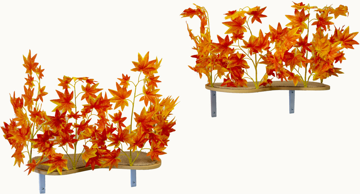 Cat Canopy Shelves - Set of 2 S3005