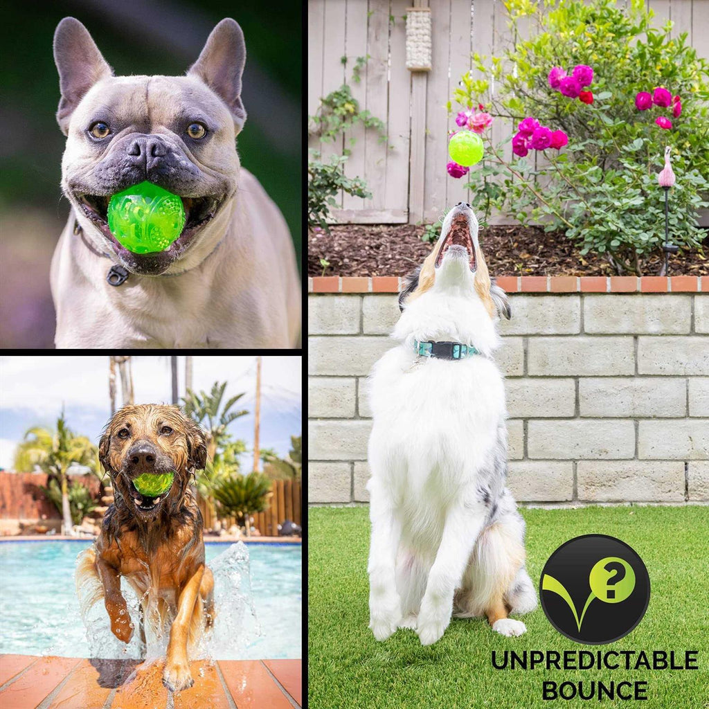 Dog Toy Ball G230