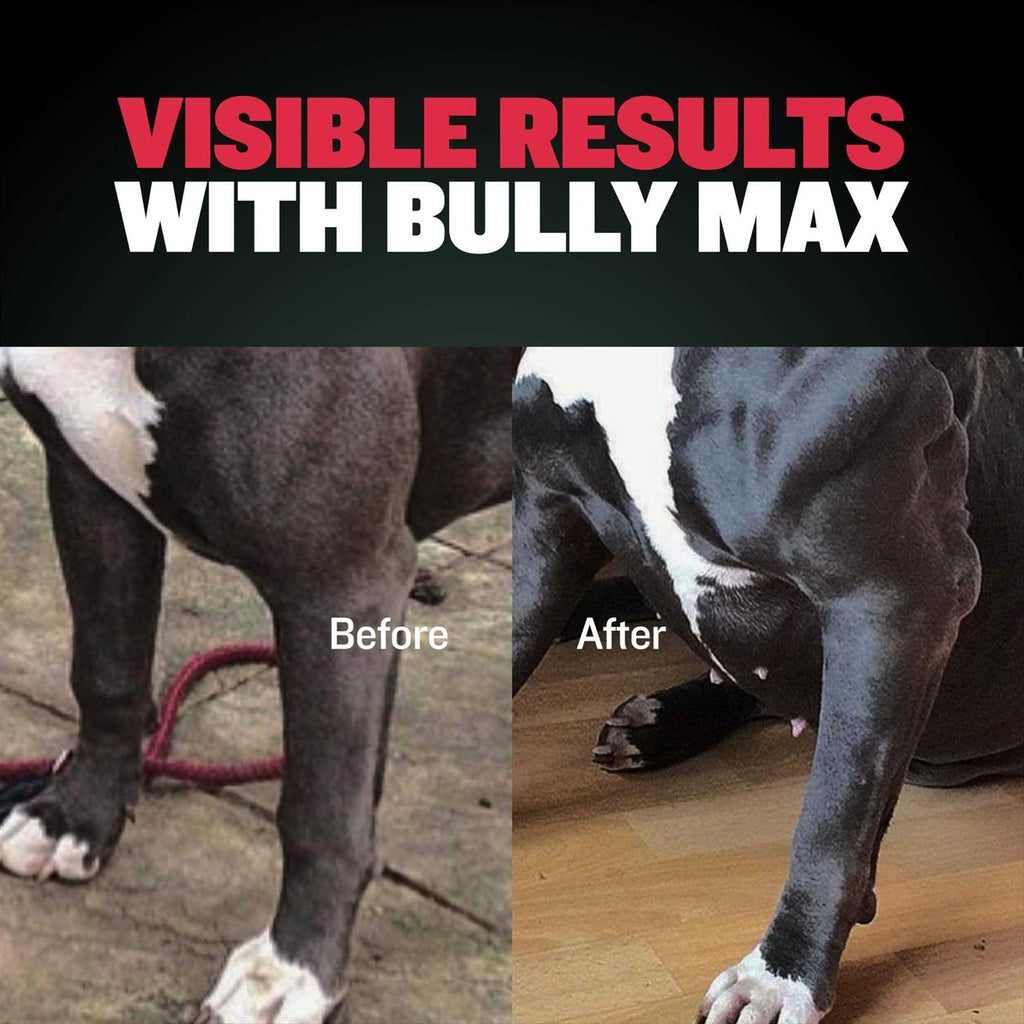 Weight Gainer Supplement for Dogs V9672