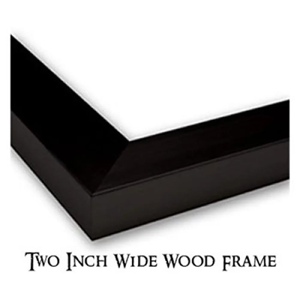 Black Modern Framed Museum Art Print Z8672