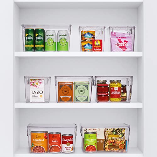 Clear Plastic Storage Bins with Handle, 8 Pack W94940