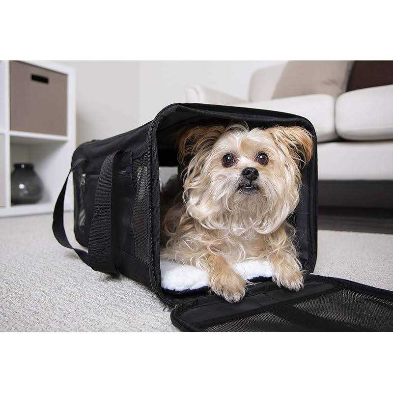 Travel Pet Carrier D845