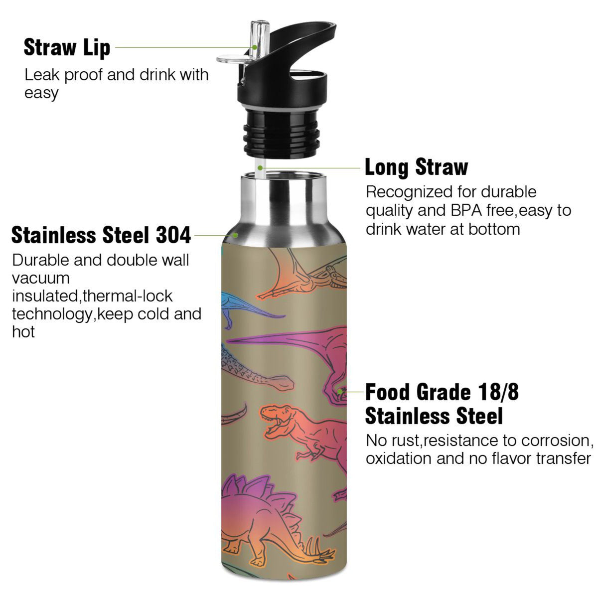 Colorful Dinosaur Stainless Steel Insulated Water Bottle with Straw Lid Y5118