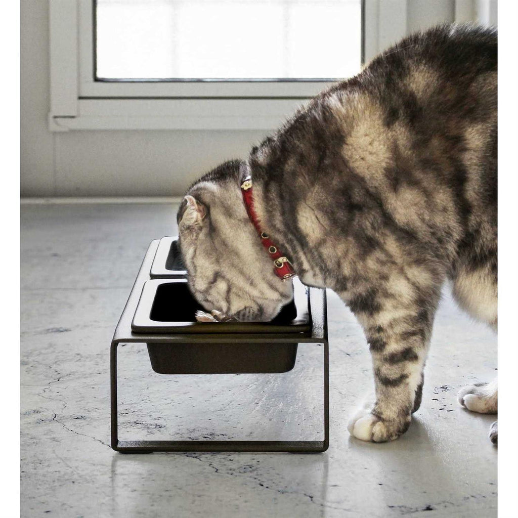 Pet Food Bowl D6444