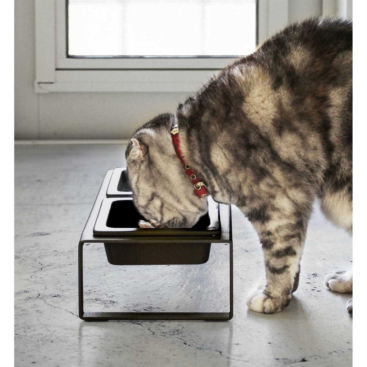 Pet Food Bowl D6444