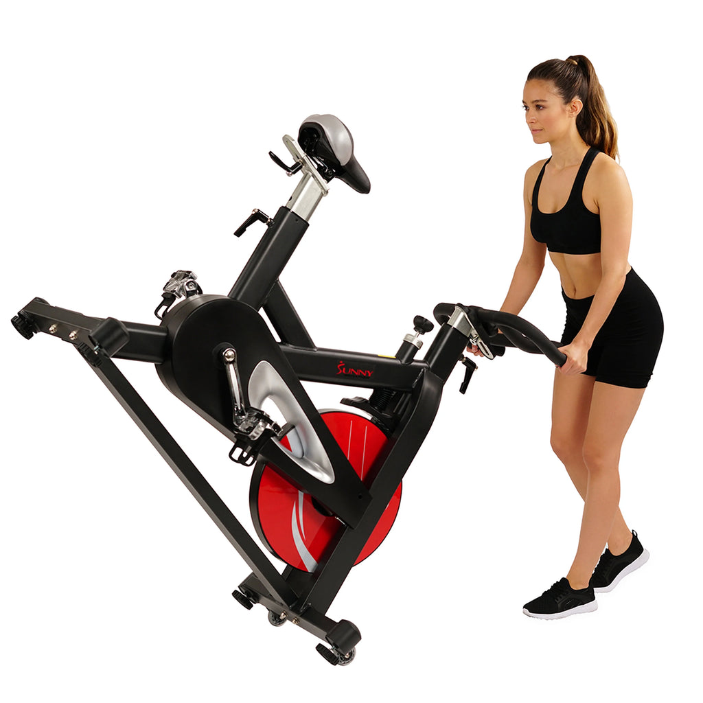Indoor Cycling Exercise Bike D3858