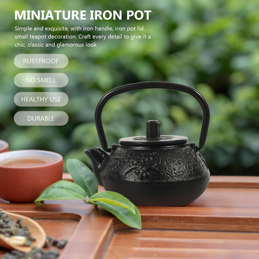 Cast Iron Teapot Tea Kettle Stovetop S4086