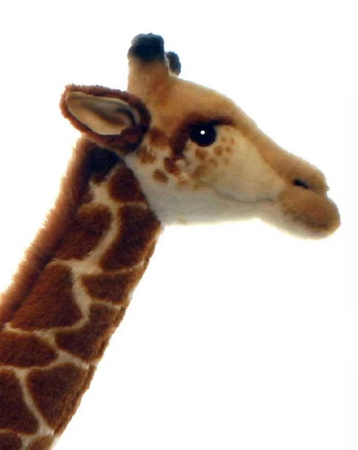 Giraffe Plush R321179