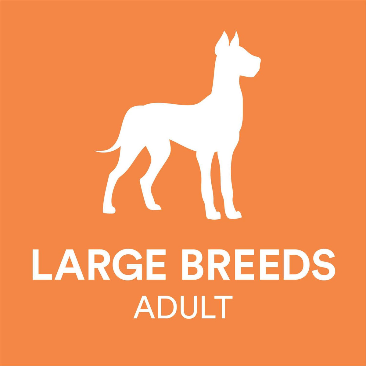 Chicken & Brown Rice Recipe Dry Dog Food J133628