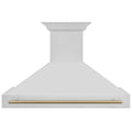 48 Inch Stainless Steel Range Hood with Champagne Bronze Handle D23631
