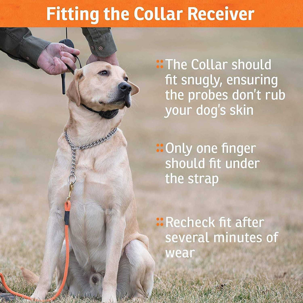 Add-A-Dog Collar X796791