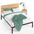 Queen Metal Platform Bed Frame V58193