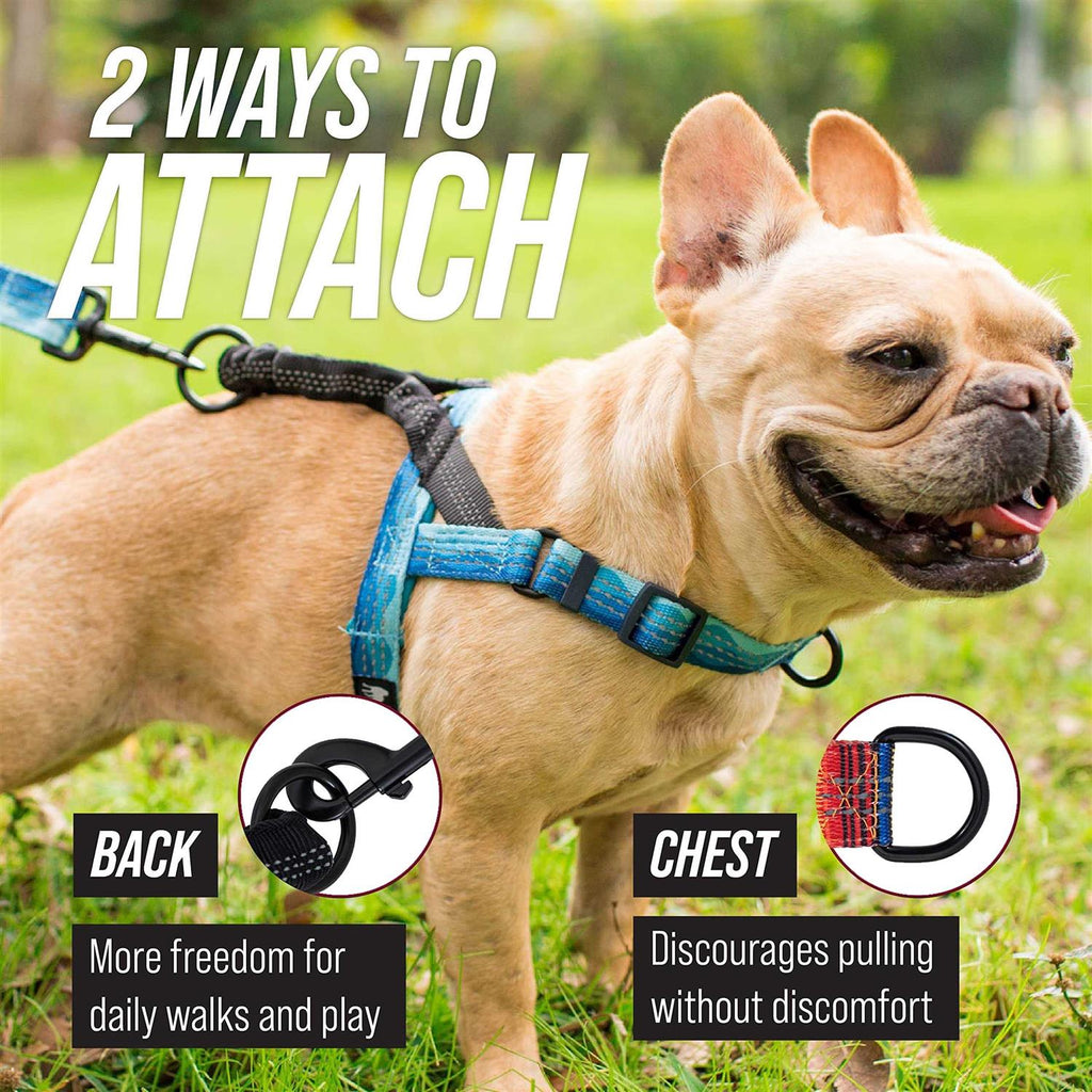 Reflective No Pull Dog Harness with Bungee Handle W671111