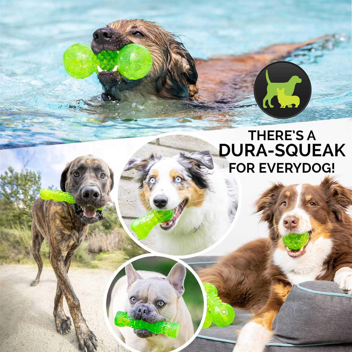 Dog Toy Ball G230