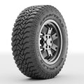 All-Terrain Tire P259