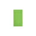Coin Envelopes (3 1/2 x 6 1/2) Limelight 50 Qty. O4865