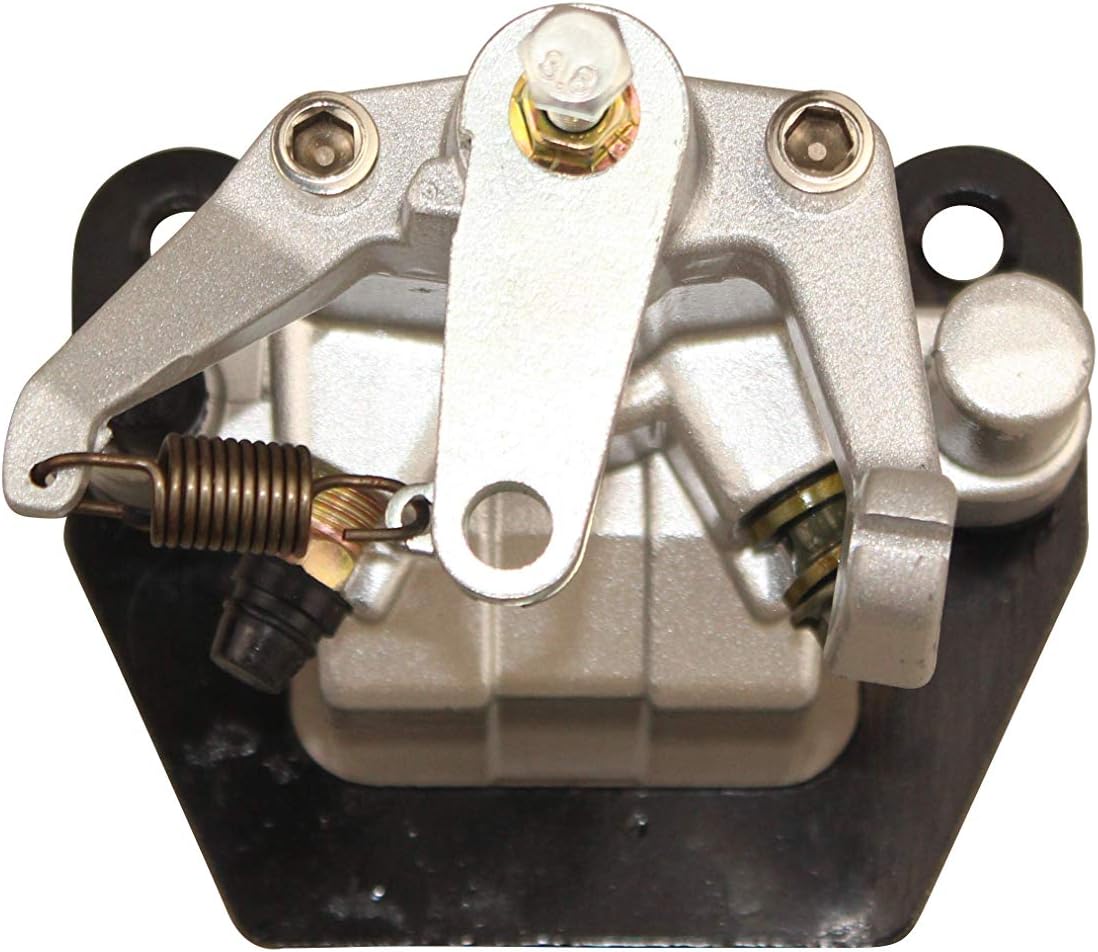 Rear Brake Caliper with Pads Pack of 2 W437865