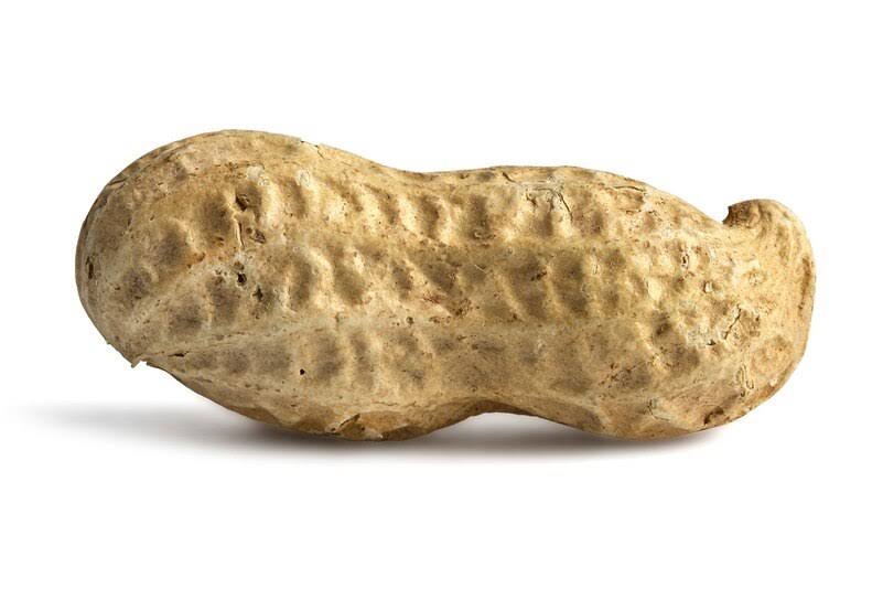 Salted Roasted Peanuts in Shell 25 Pounds Z5424
