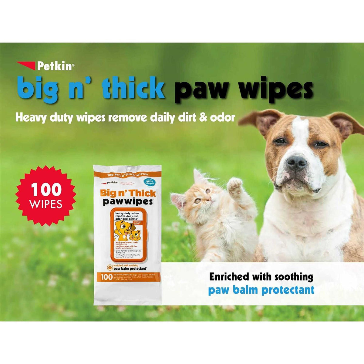 Pet Wipes 100 T325476
