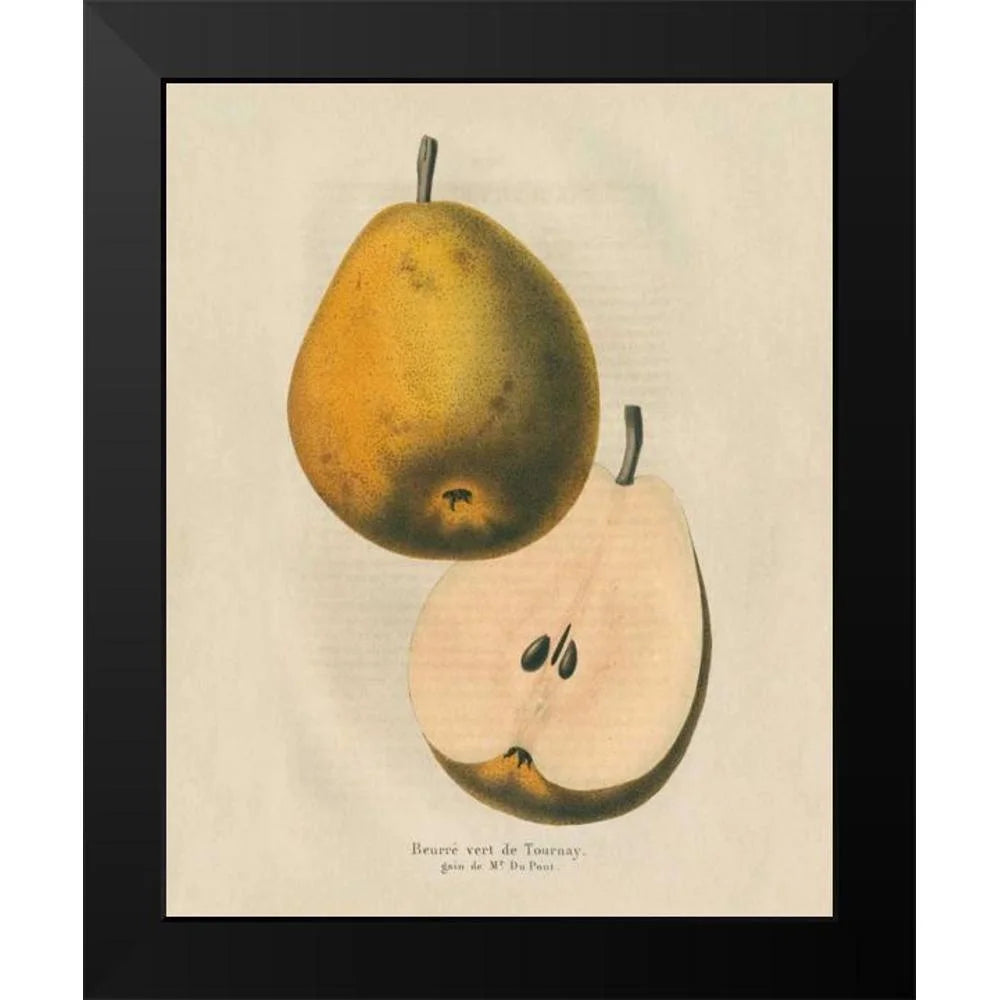Black Modern Framed Museum Art Print Z8672