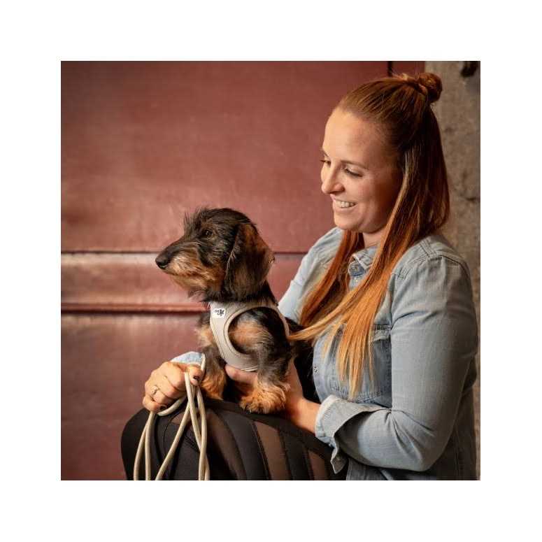 Air-Mesh Dog Harness J499
