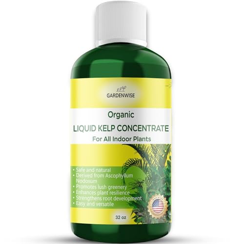 Organic Kelp Seaweed Concentrate Liquid Plant Food (8 oz) V1752