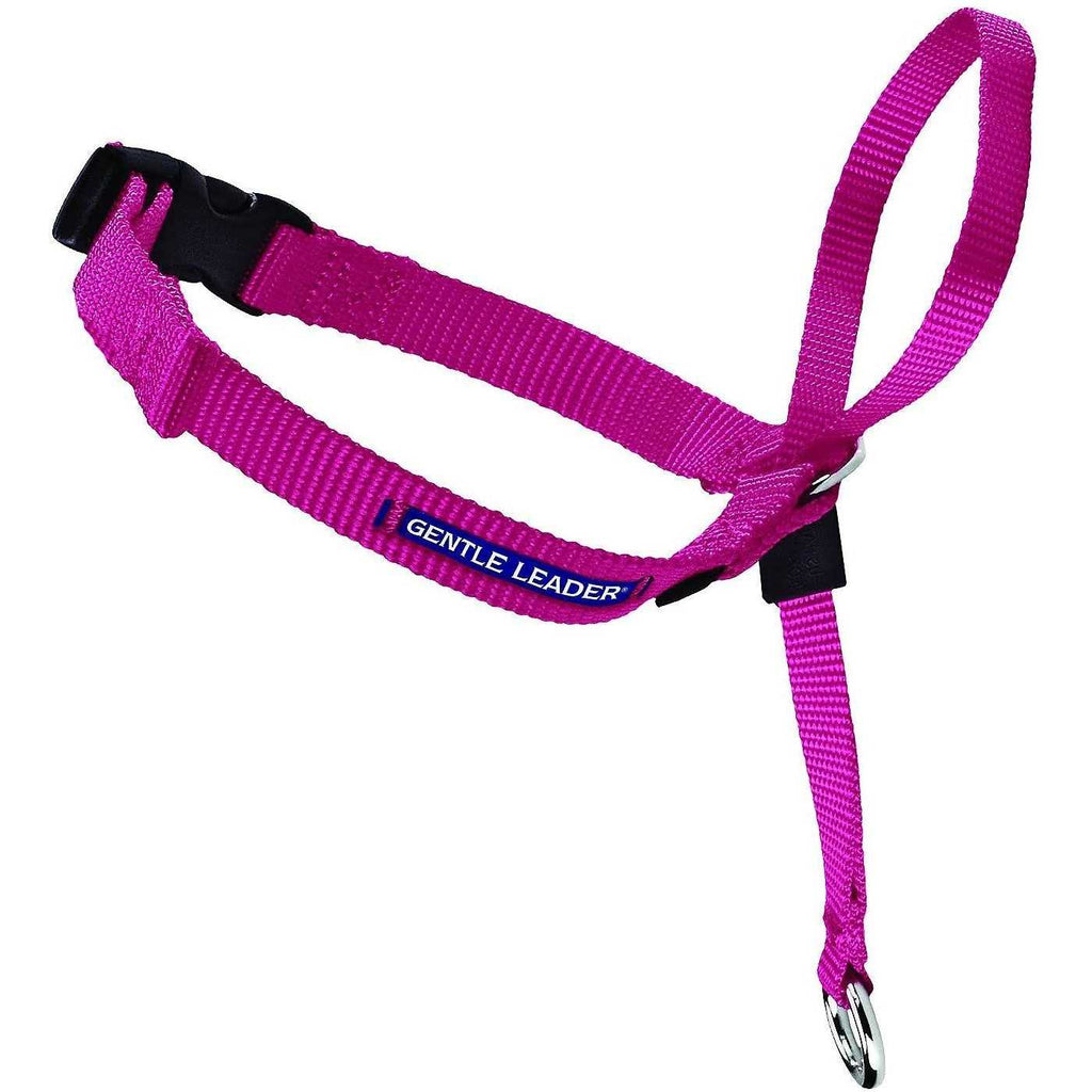Headcollar G522378