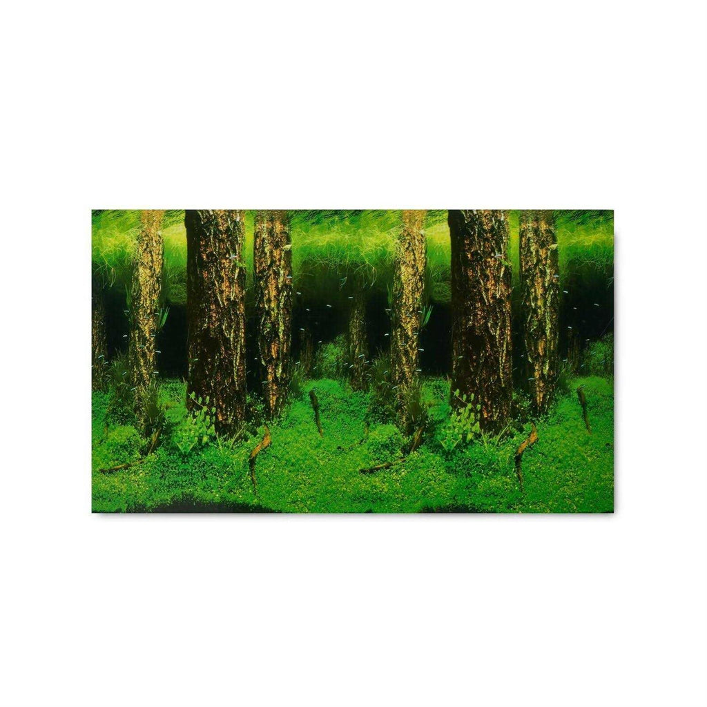 Aquarium Background Q9991