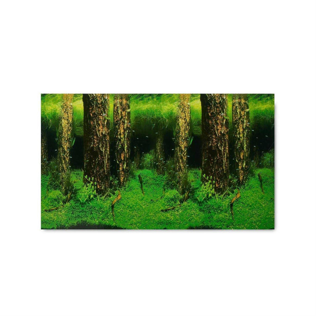 Aquarium Background Q9991
