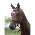 Black Full Bridle Y40898