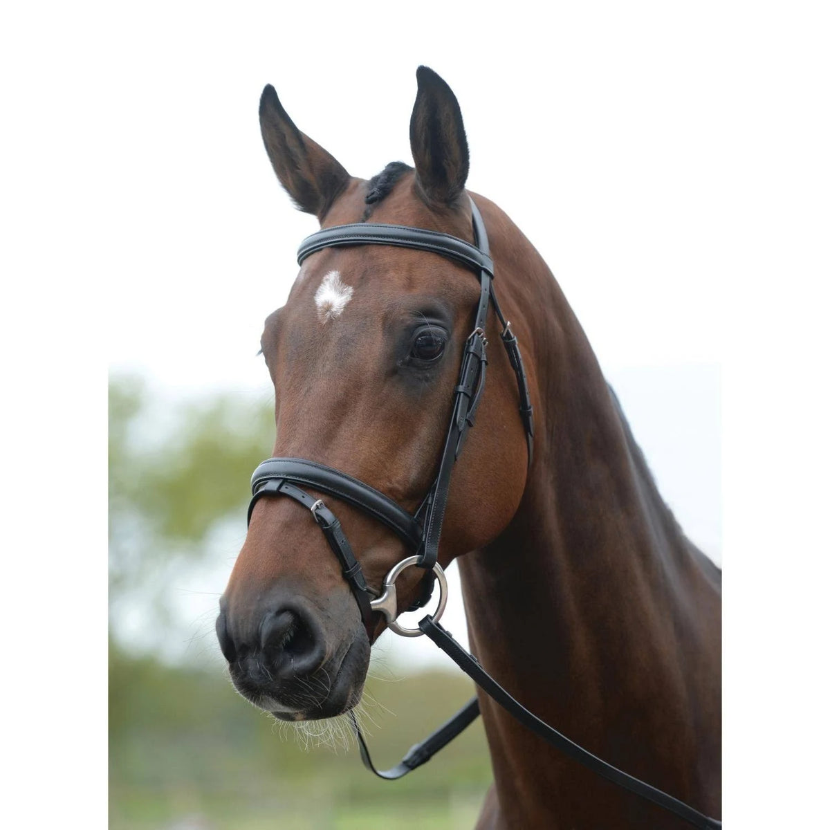 Black Full Bridle Y40898