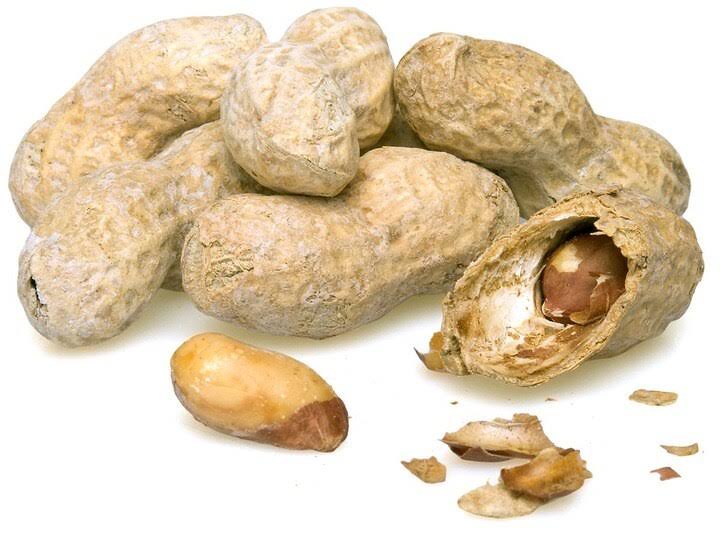 Salted Roasted Peanuts in Shell 25 Pounds Z5424