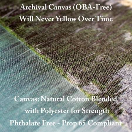 Canvas D481257