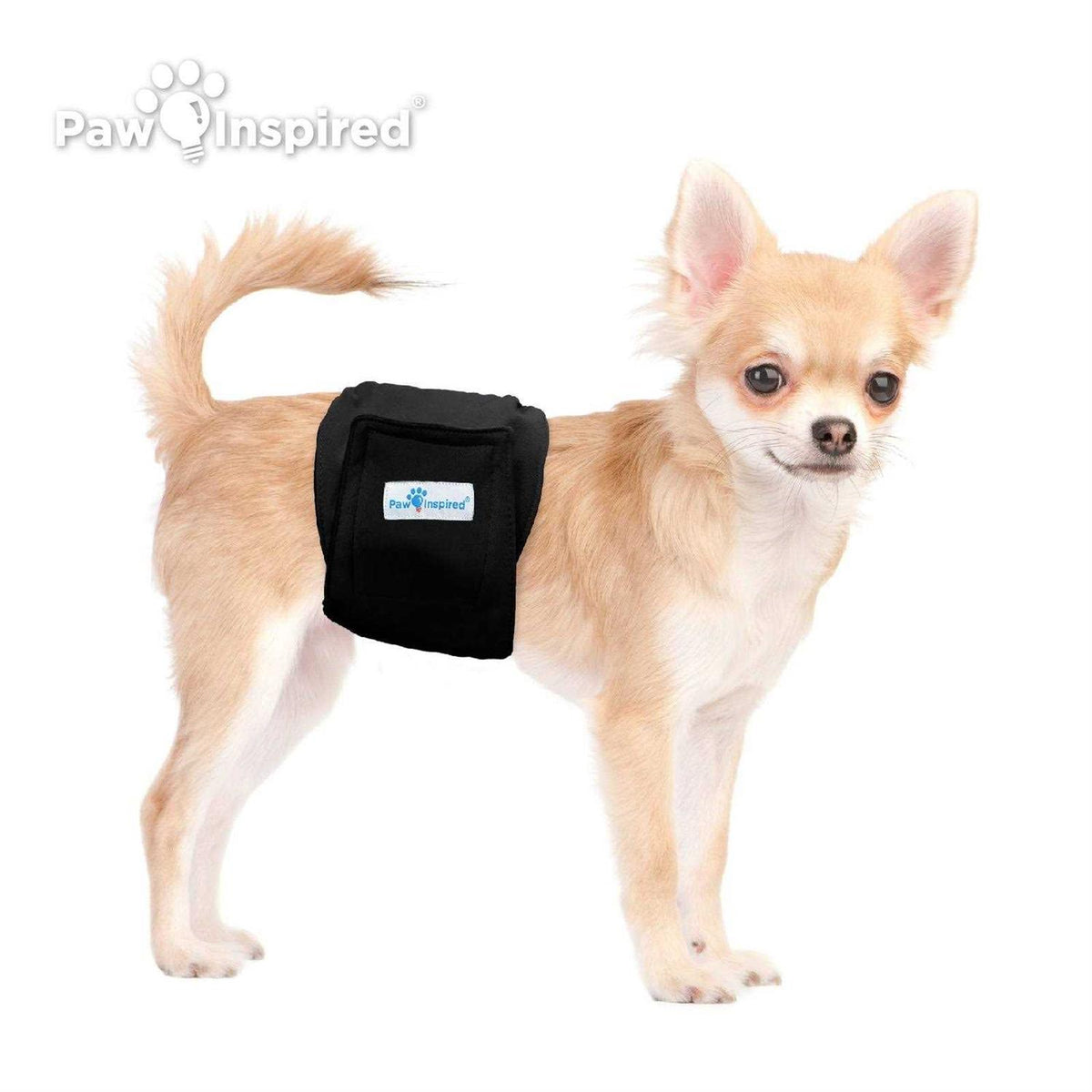 Washable Dog Belly Band N55784