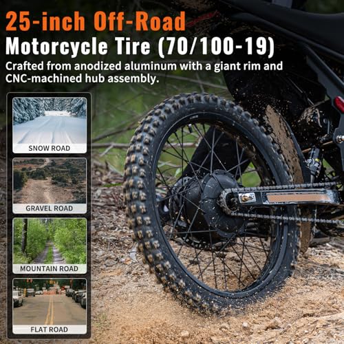 Electric Dirt Bike with 25" Motorcycle Tires, Full Suspension W18856