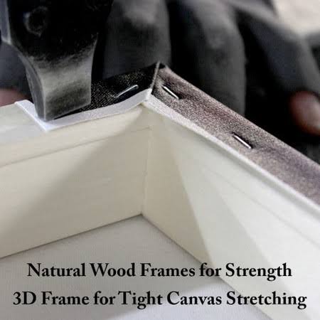 Canvas D481257