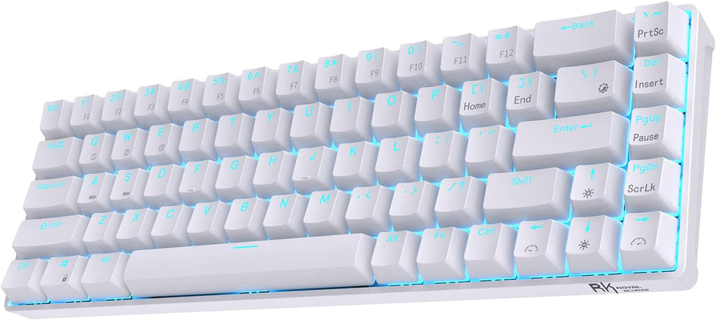 Wireless Hot Swappable 65% Mechanical Keyboard R49124