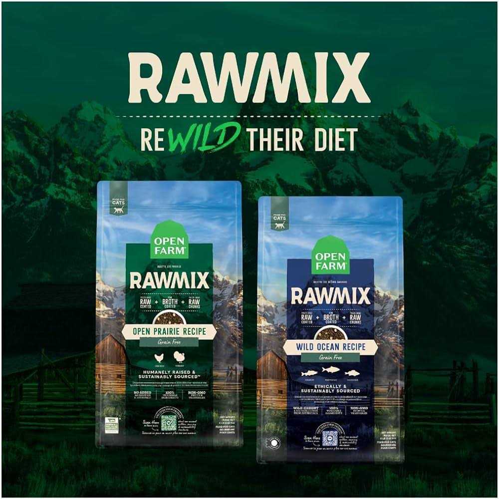 Grain Free RawMix Dry Cat Food E294