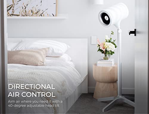 Black 49.4 Inch Oscillating Pedestal Fan with Remote Control R3713