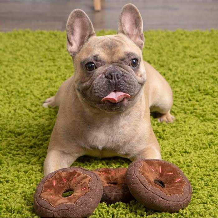 Donut Squeaky Plush Dog Toy J467342
