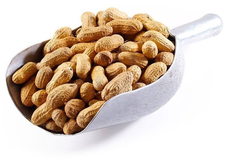Salted Roasted Peanuts in Shell 25 Pounds Z5424